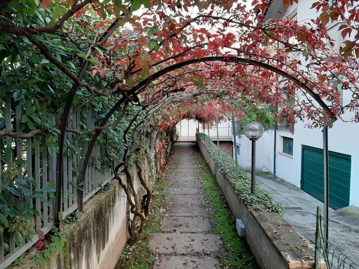 Appartamento Genziana - Con Vista Piscina E Garage Σιρμιόνε Εξωτερικό φωτογραφία